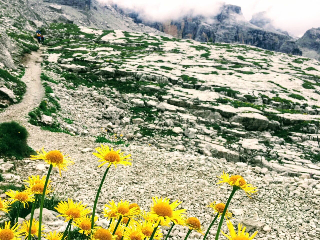klettersteigtour_brenta_groste_tuckett_