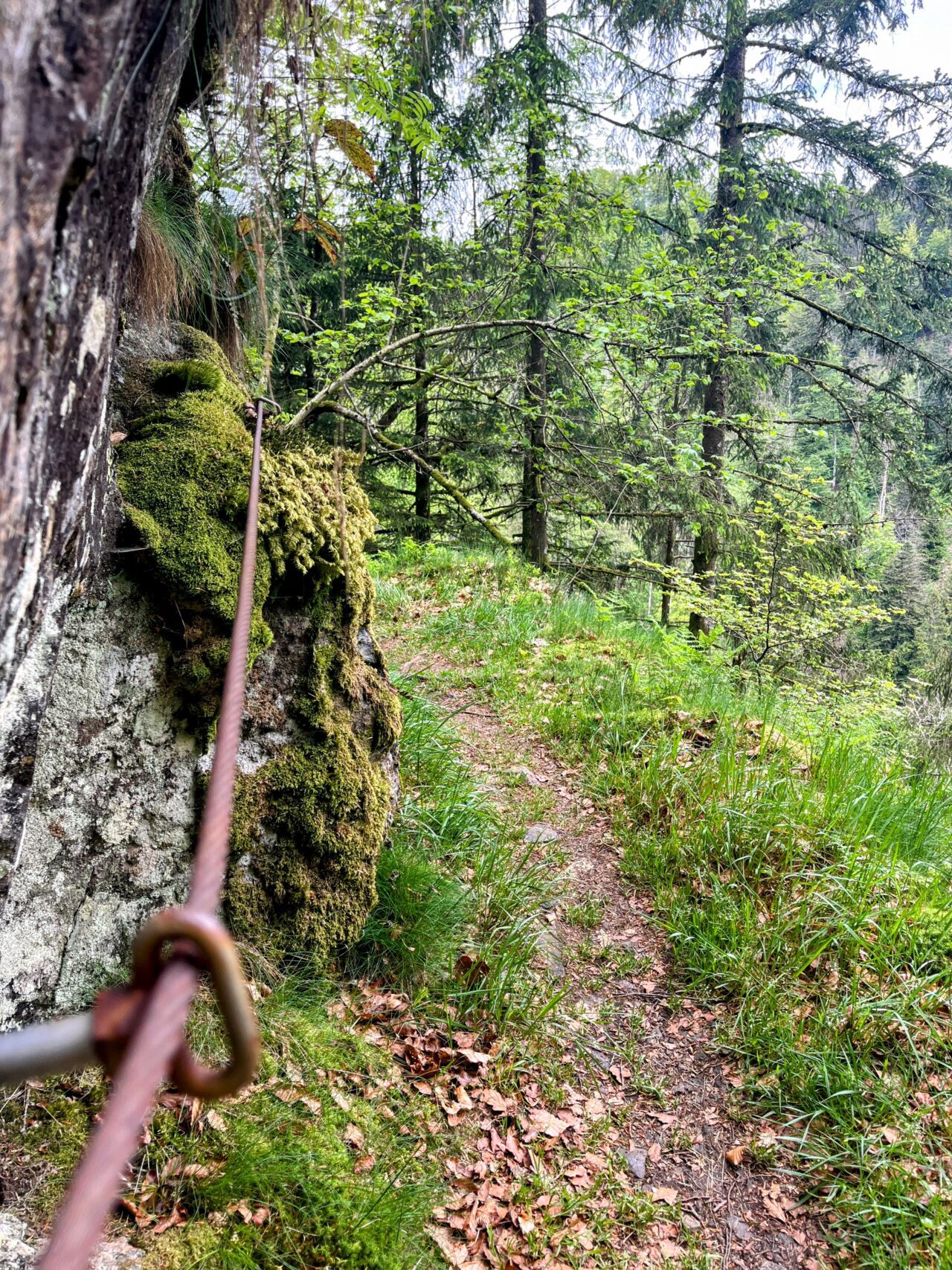 wanderung_schluchtensteig_schwarzwald_