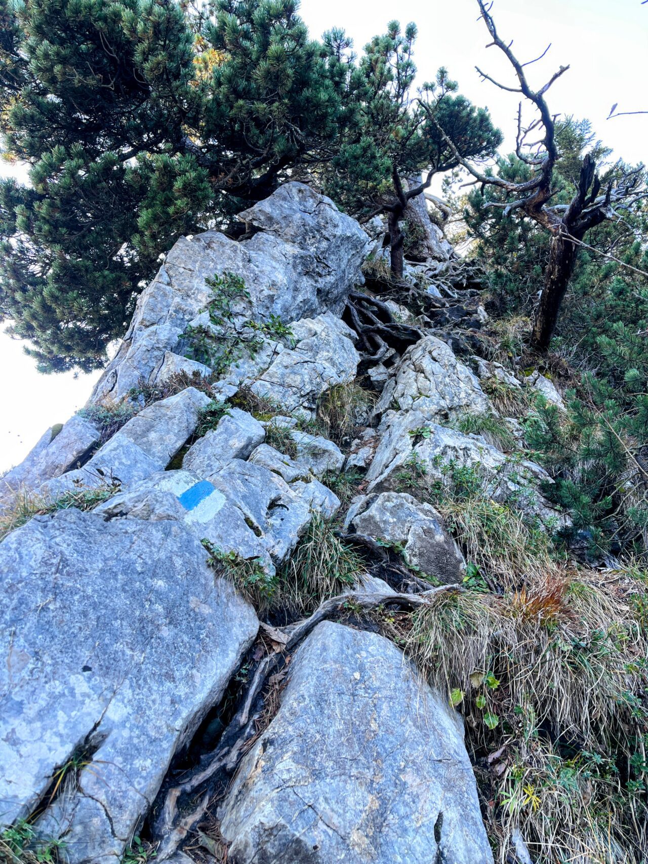 wanderung_rigi_hochflue_