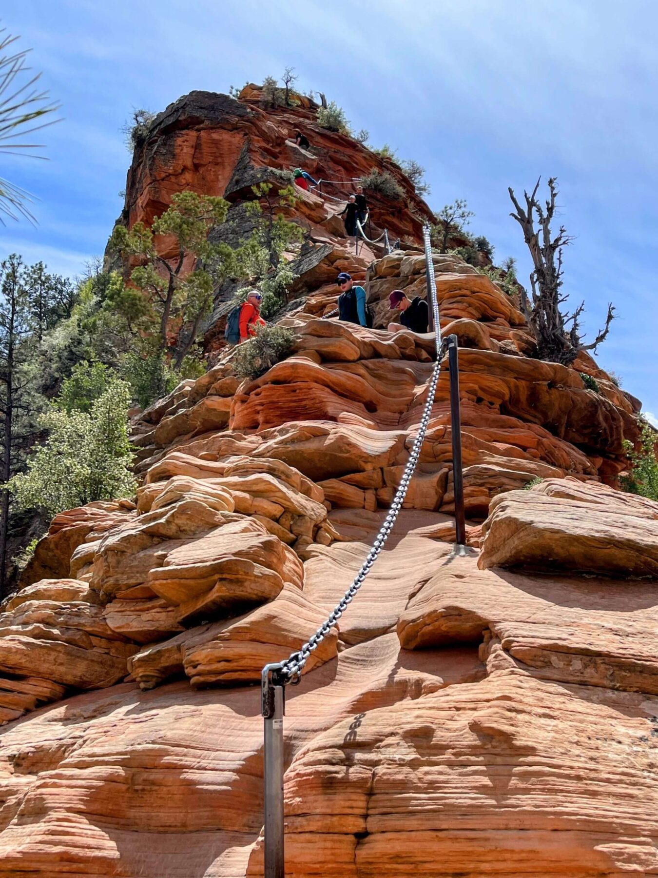wanderung_zion_nationalpark_angels_landing_