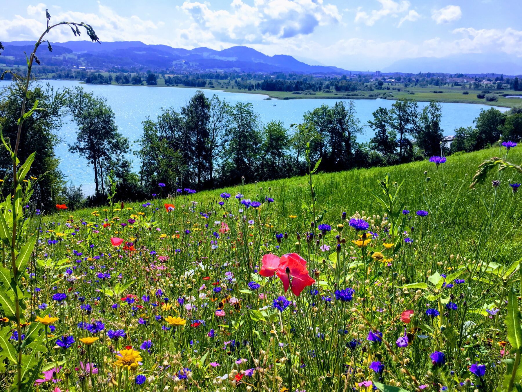 umrundung_pfaeffikersee_