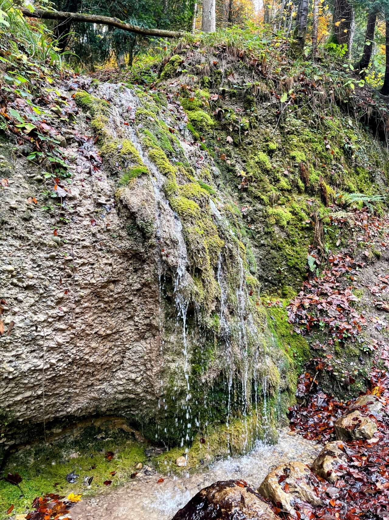 wanderung_schauenberg_