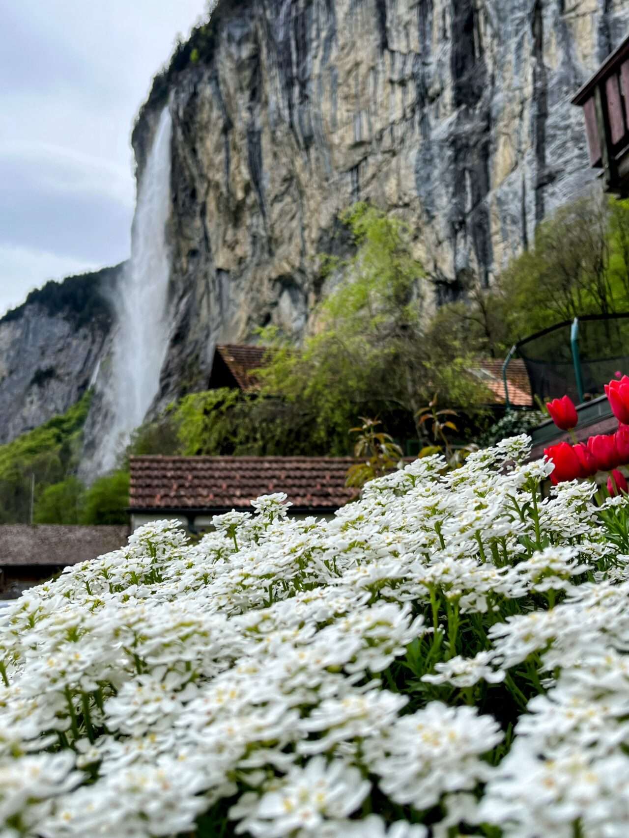 wanderung_stechelberg_lauterbrunnen_