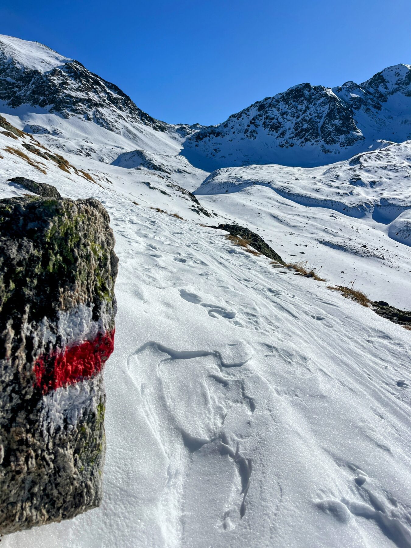 schneeschuhwanderung_muottas_muragl_lej_muragl_punt_muragl__IMG_6853