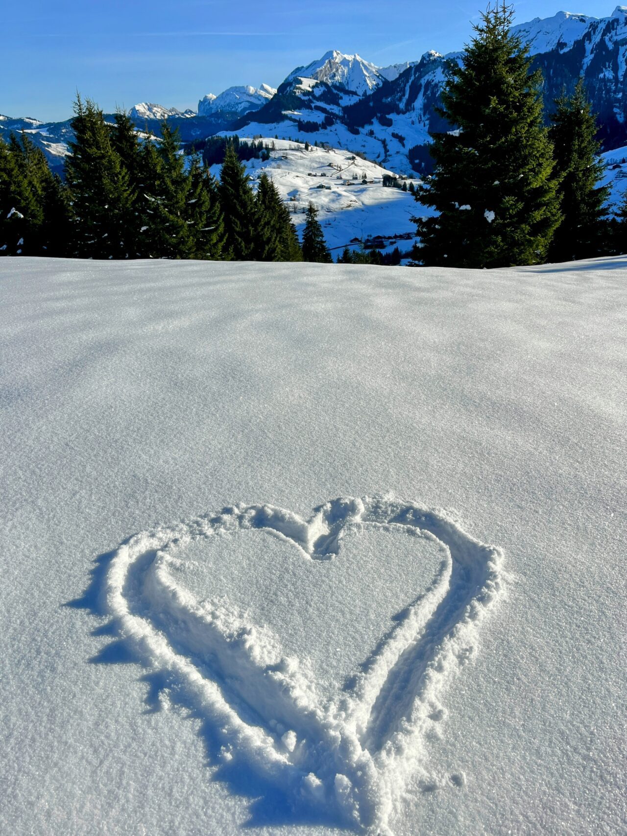 schneeschuhwanderung_oberiberg_furggelenstock__IMG_2768