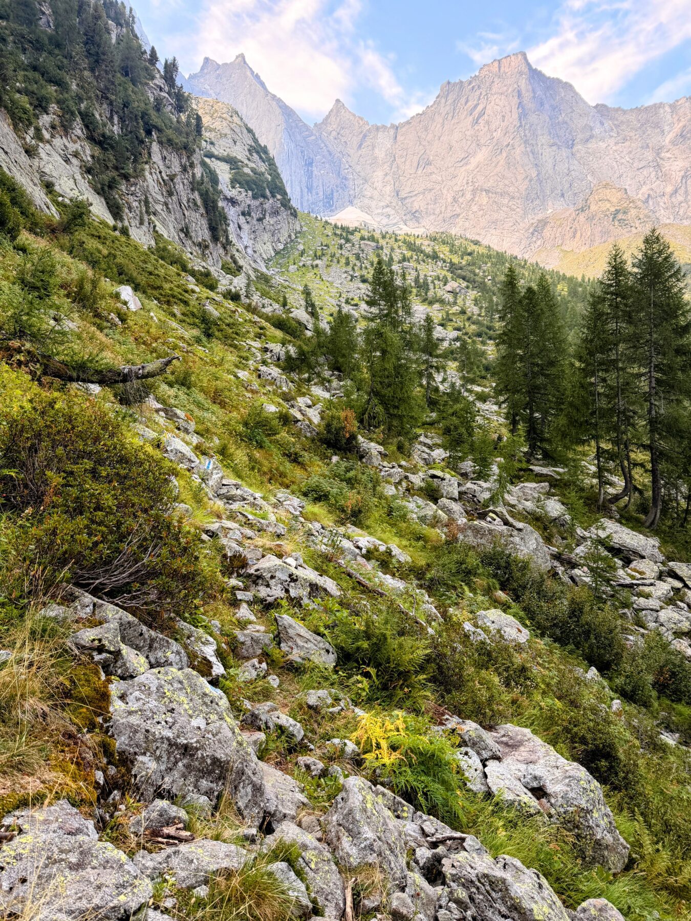 wanderung_sentiero_alpino_bregaglia_sasc_furae_huette_bondo__IMG_0553