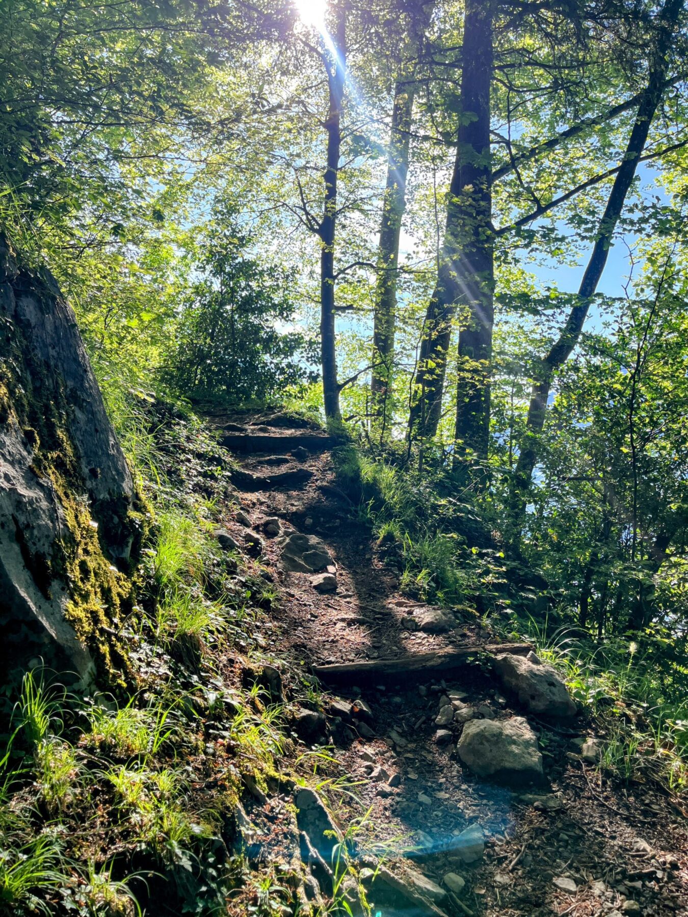 wanderung_brunnen_urmiberg_schwand_stockflue_
