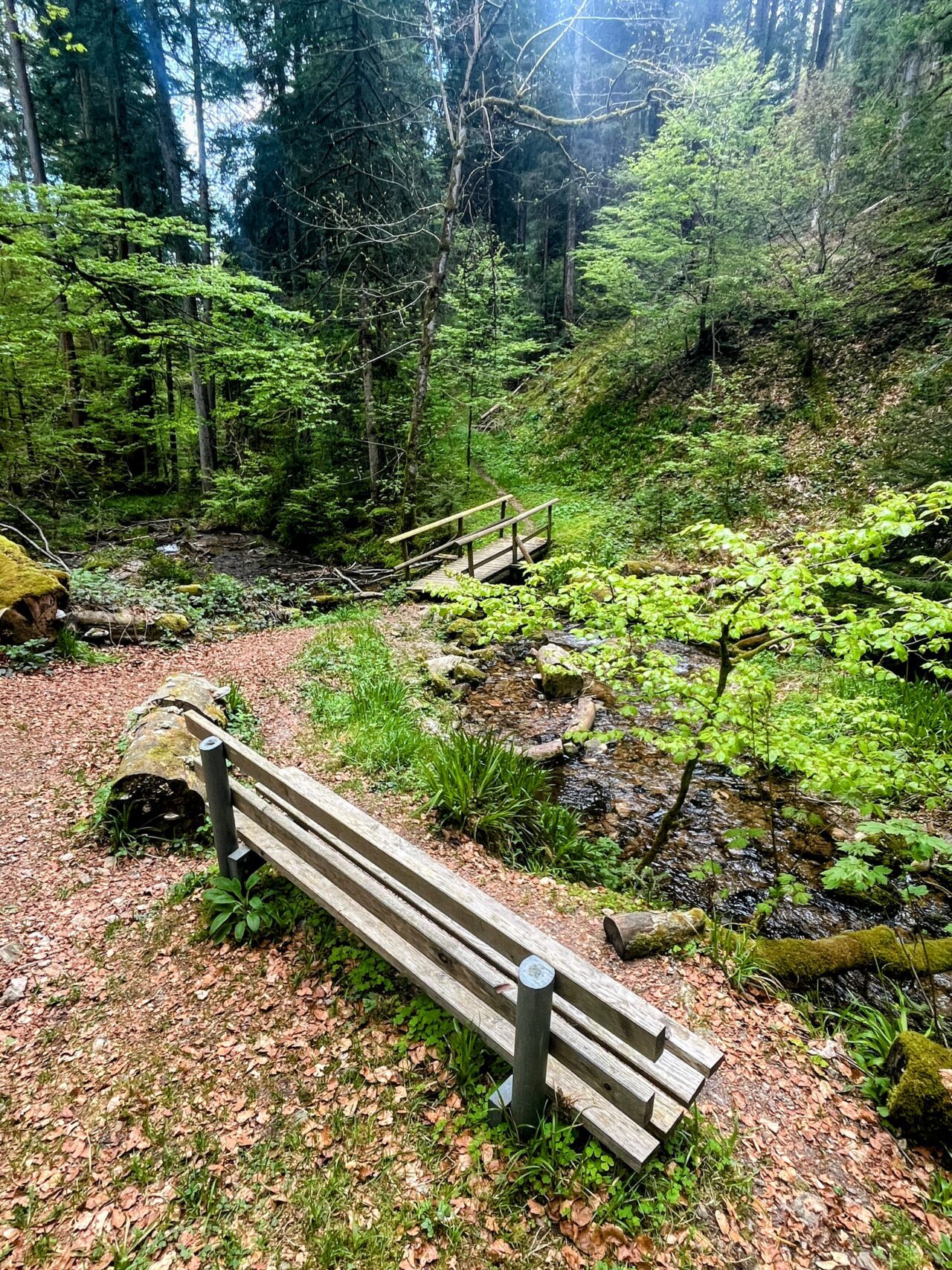 wanderung_schluchtensteig_schwarzwald_