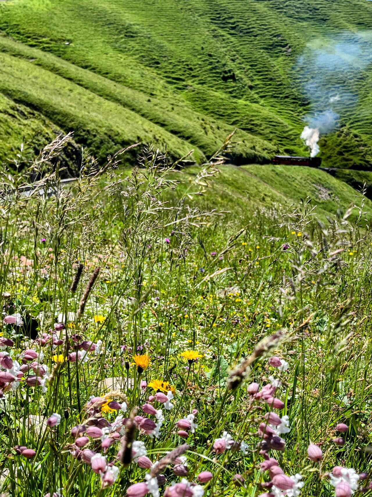wanderung_brienzer_rothorn_