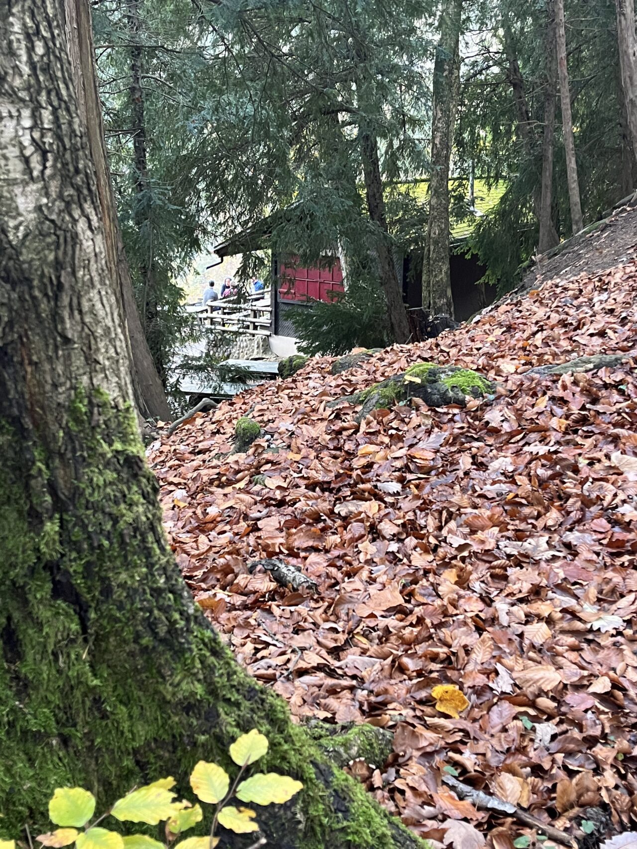 wanderung_teehuette_fallaetsche_