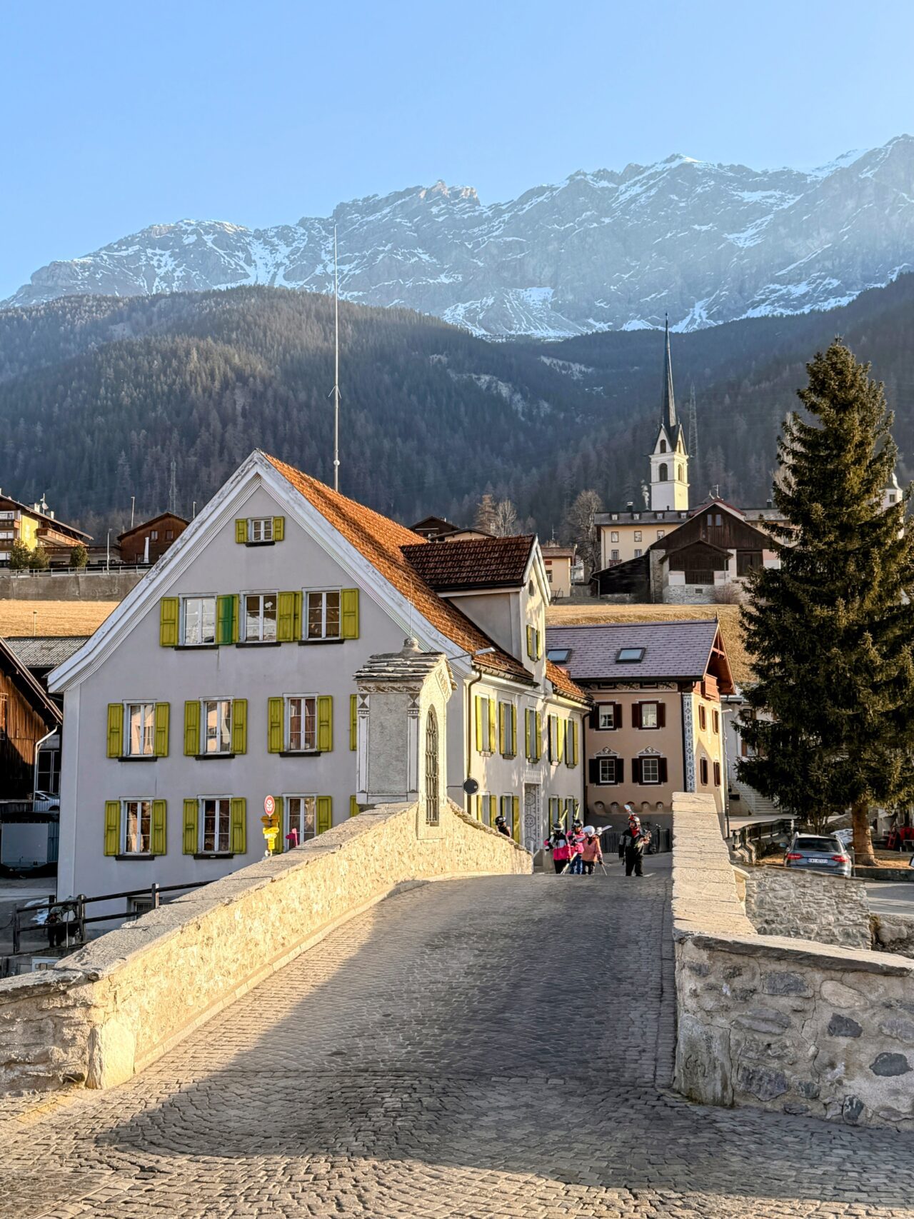 schneeschuhsafari_graubuenden_salouf_munter__IMG_0637