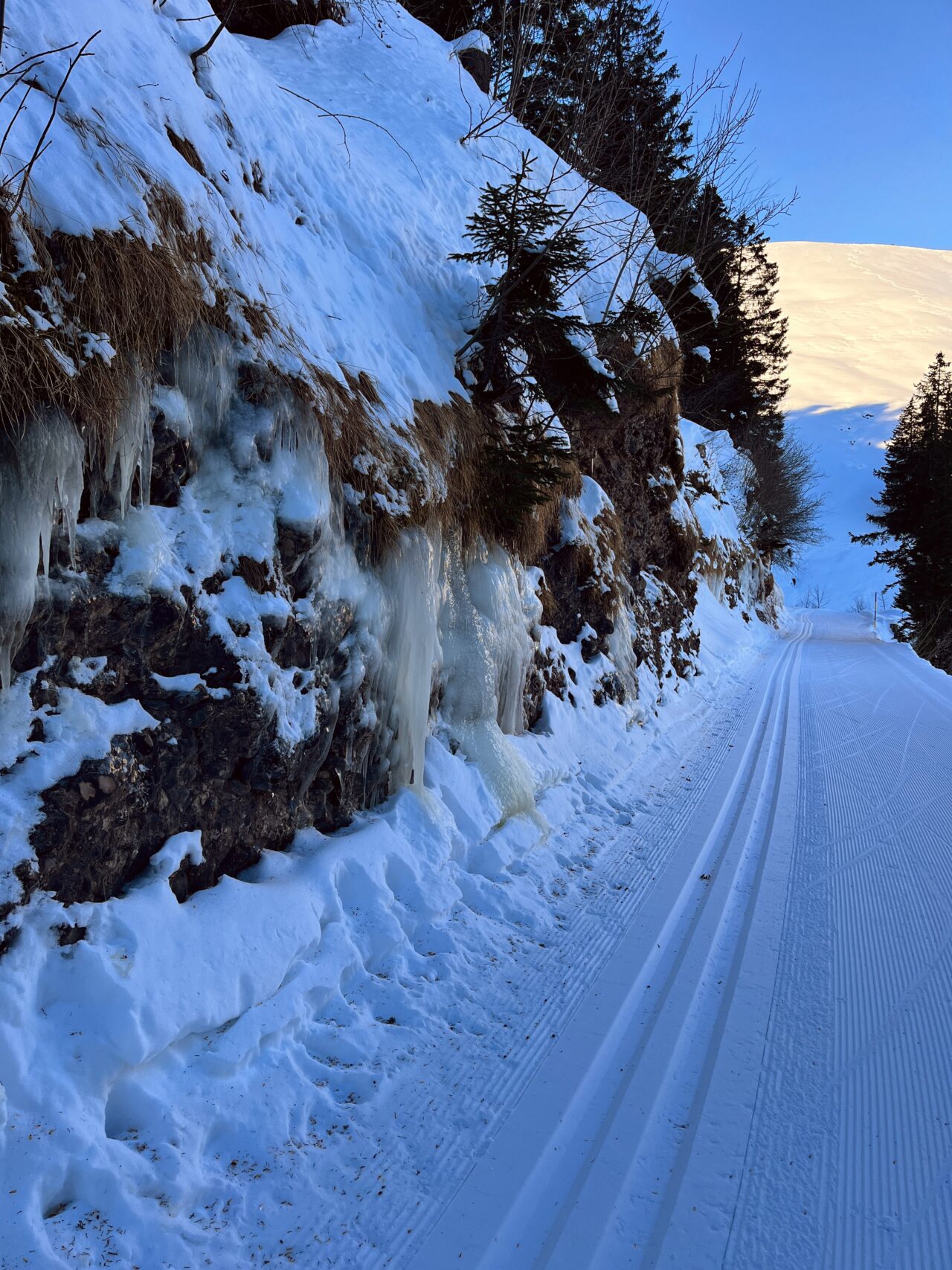 winterwandern_rigi_