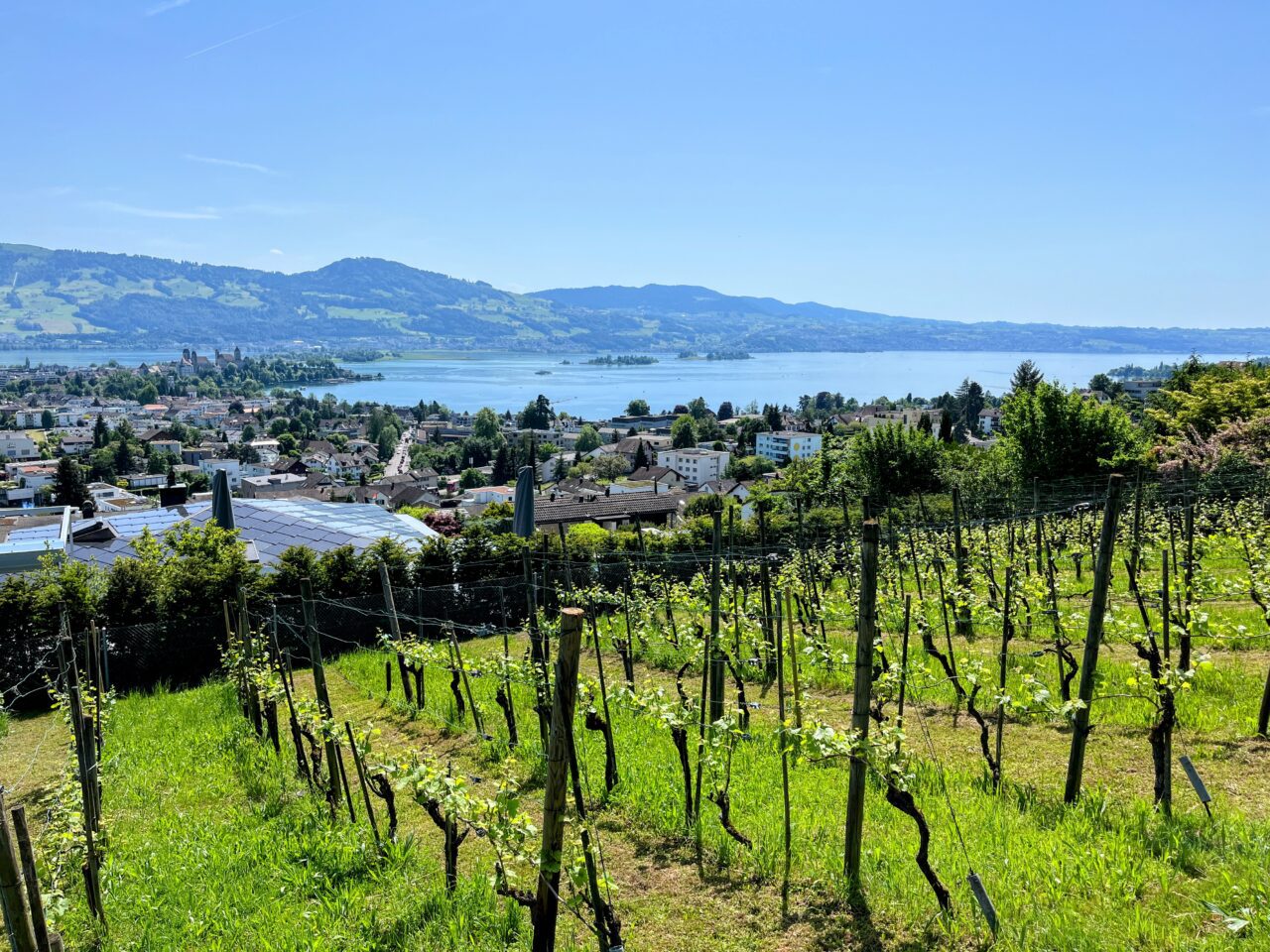 umrundung_zürichsee_schmerikon_stäfa_