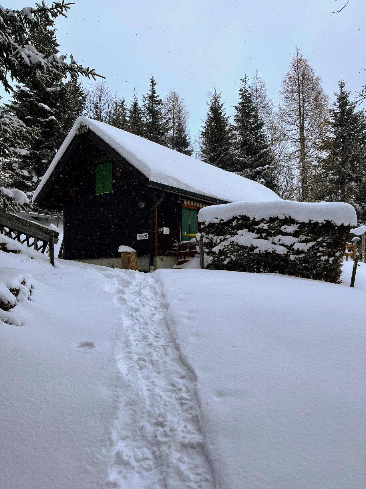 schneeschuhtour_sattelegg_
