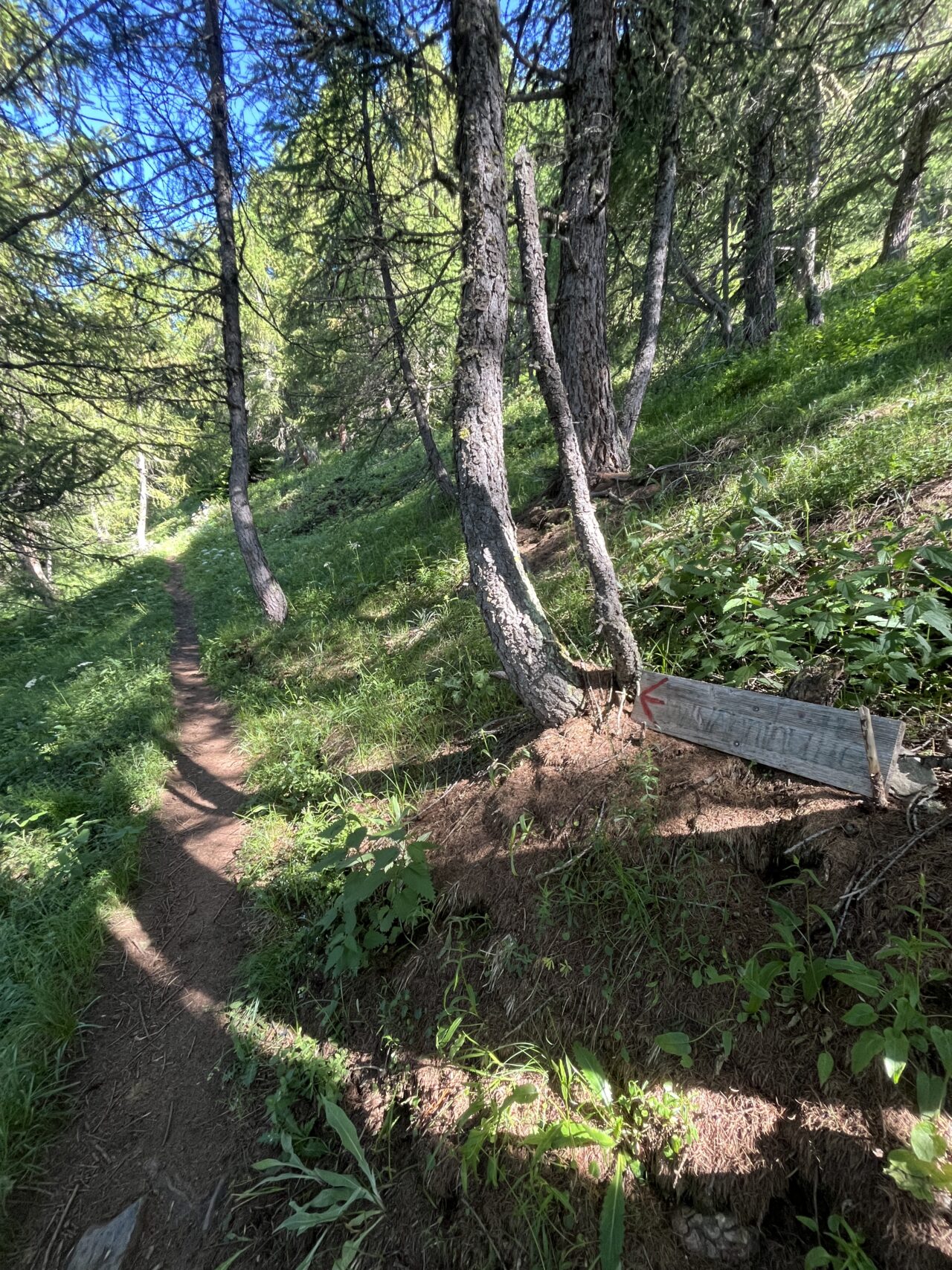 wanderung_wiwannihuette_