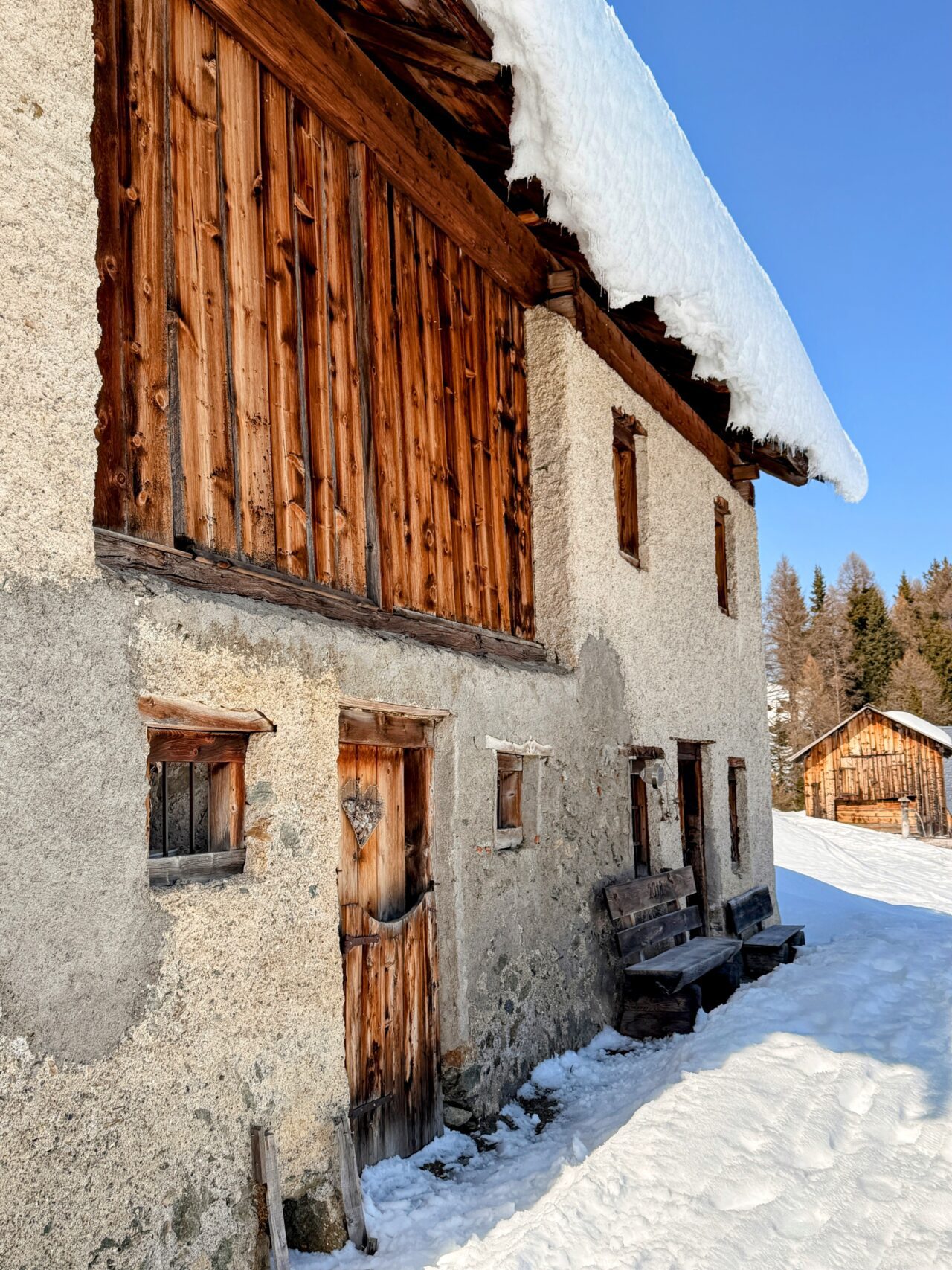 schneeschuhsafari_graubuenden_salouf_munter__IMG_0680