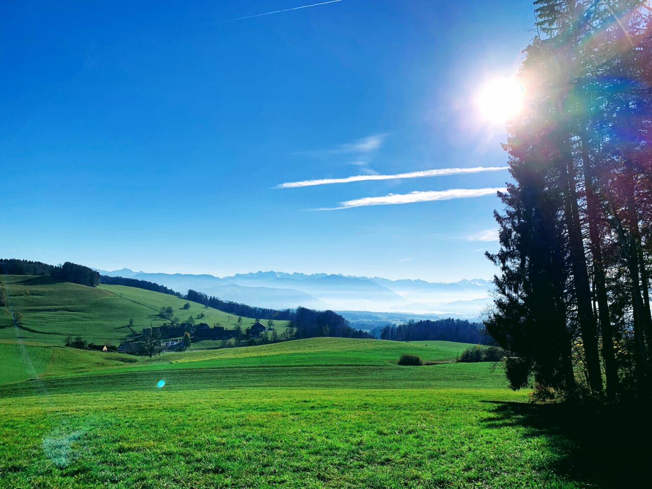 wanderung_Felsenegg_uetliberg_albisgrat_