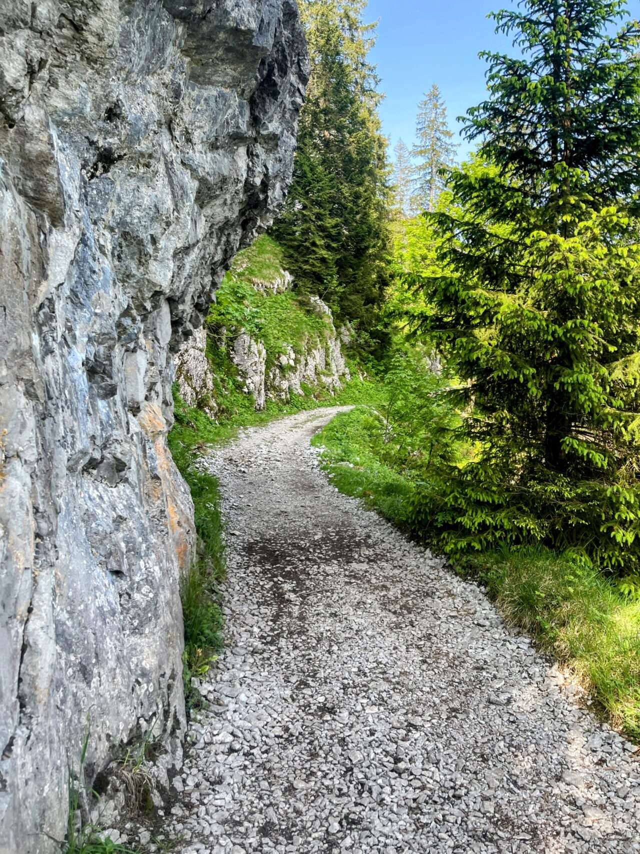 wanderung_brunni_hagenegg_mostelberg_sattel_