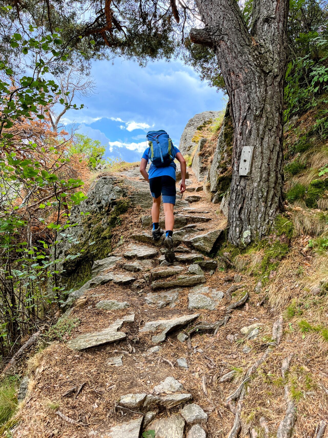 wanderung_Meraner_hoehenweg_hochmuth_nasereithuette_montferthof_