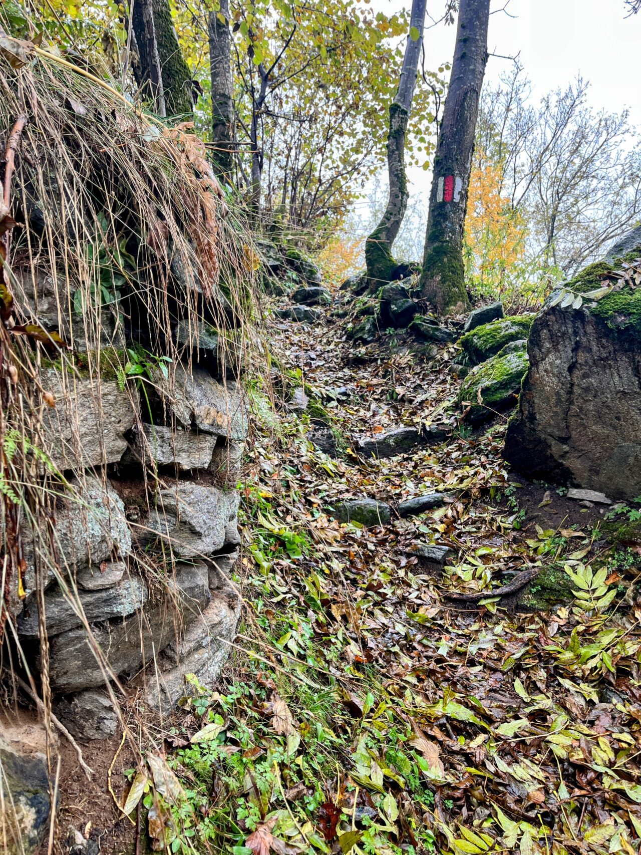 trans-swiss-trail-etappe-26-27-faido-biasca-