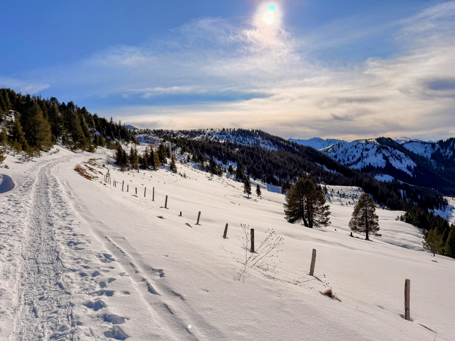 schneeschuhwanderung_rickhubel_fürstein__IMG_9401