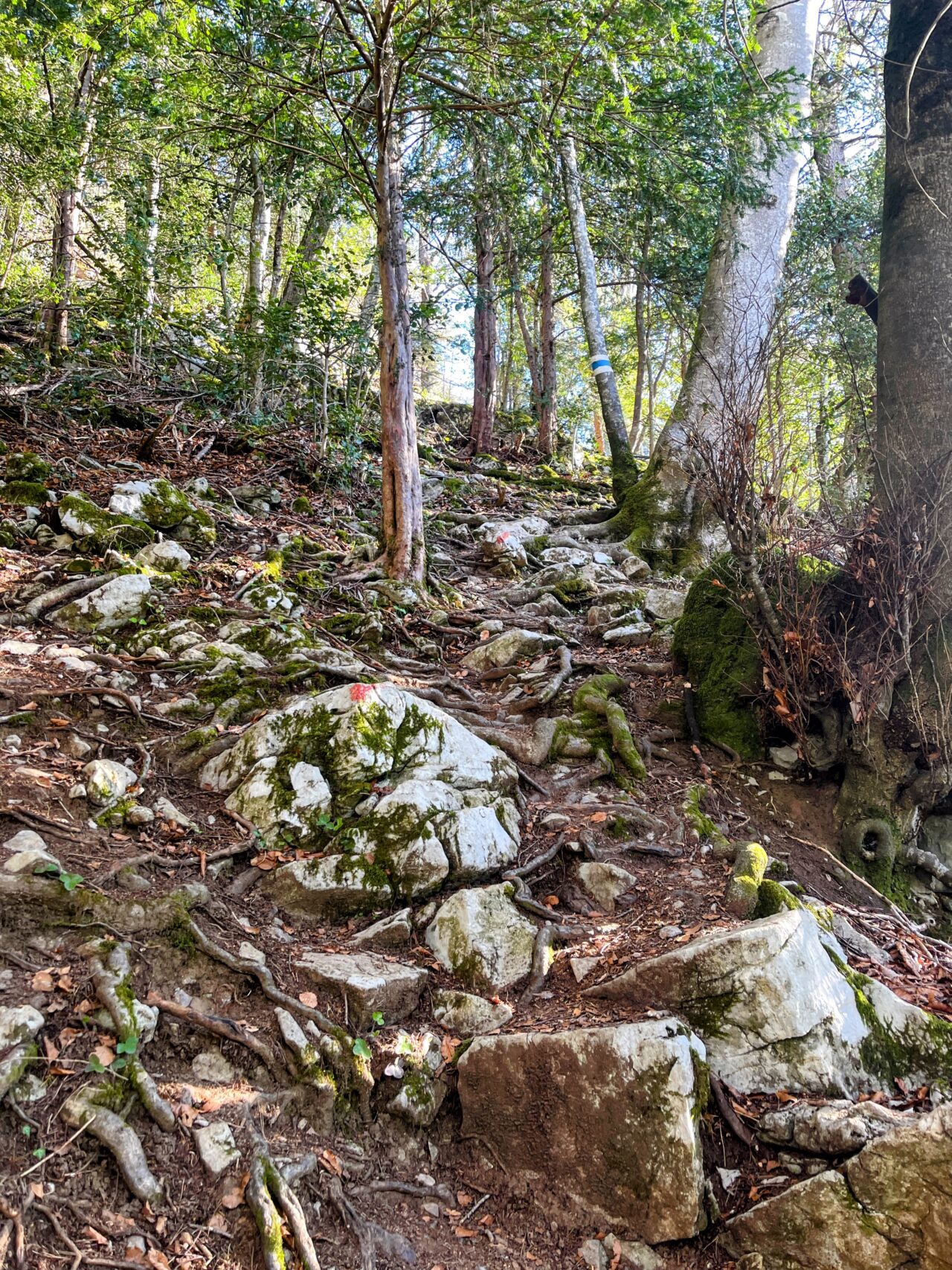 wanderung_urmiberg_stockflue_