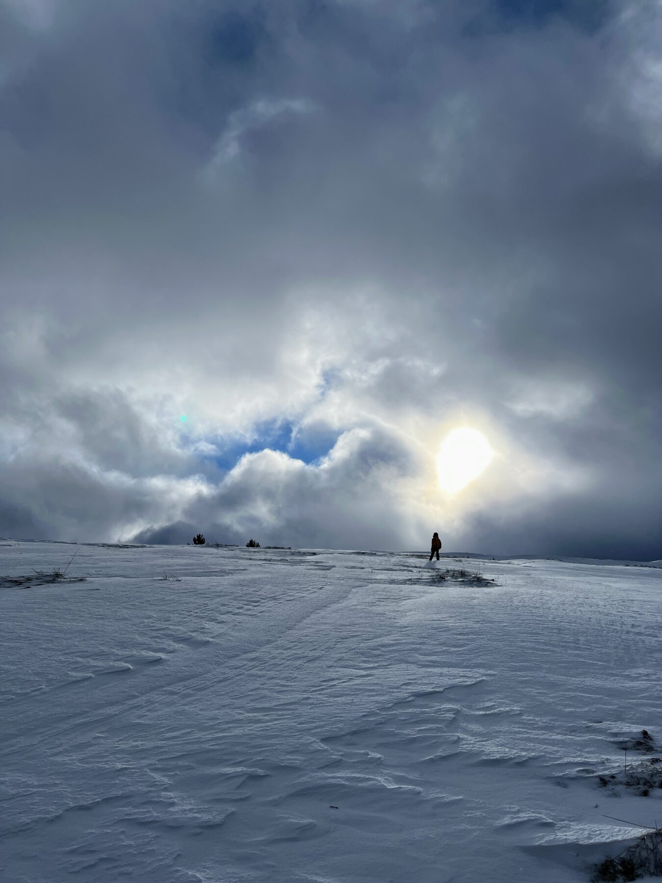 schneeschuhtour_sattelegg_