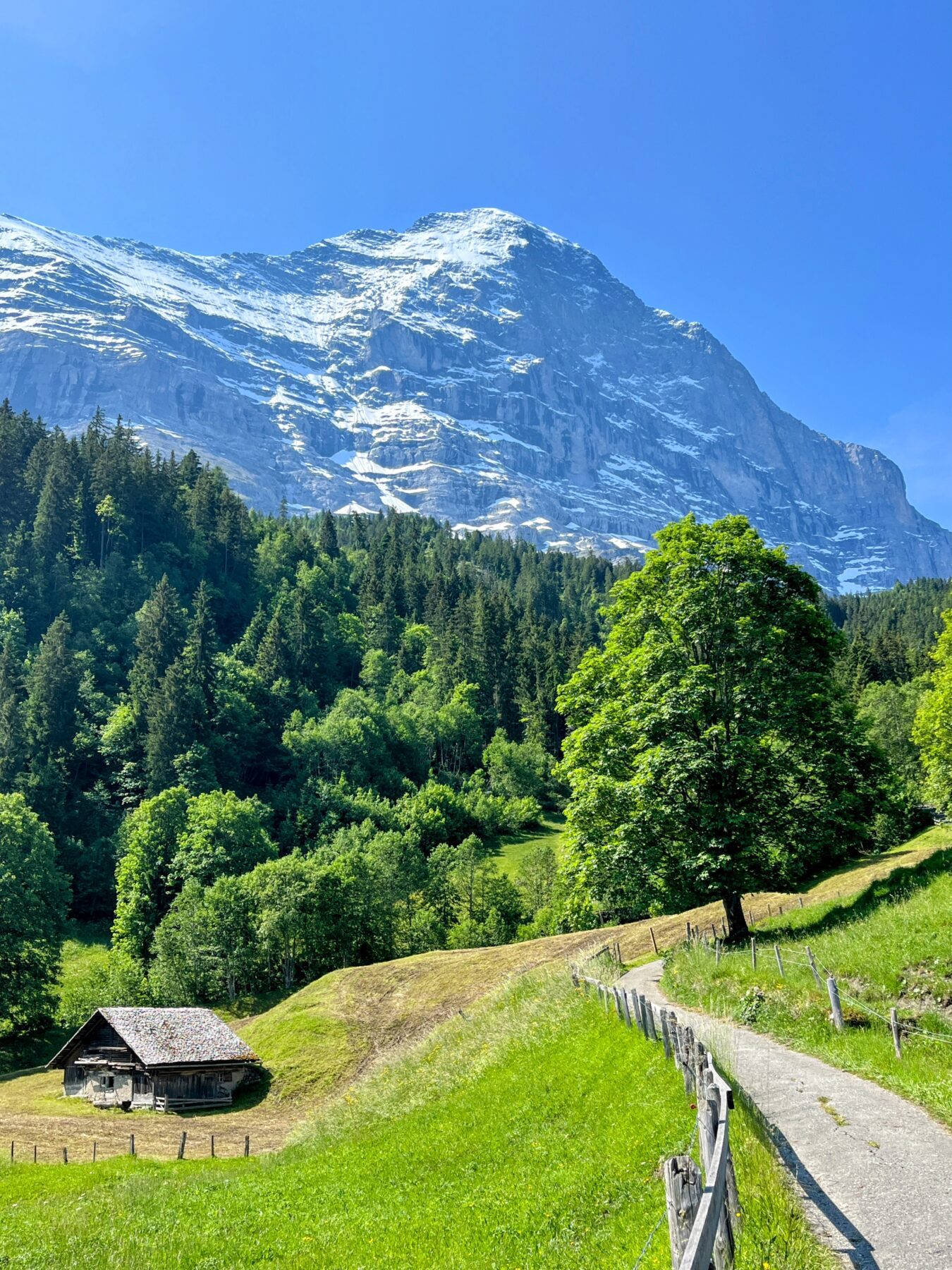 wanderung_via_alpina_grindelwald_lauterbrunnen_