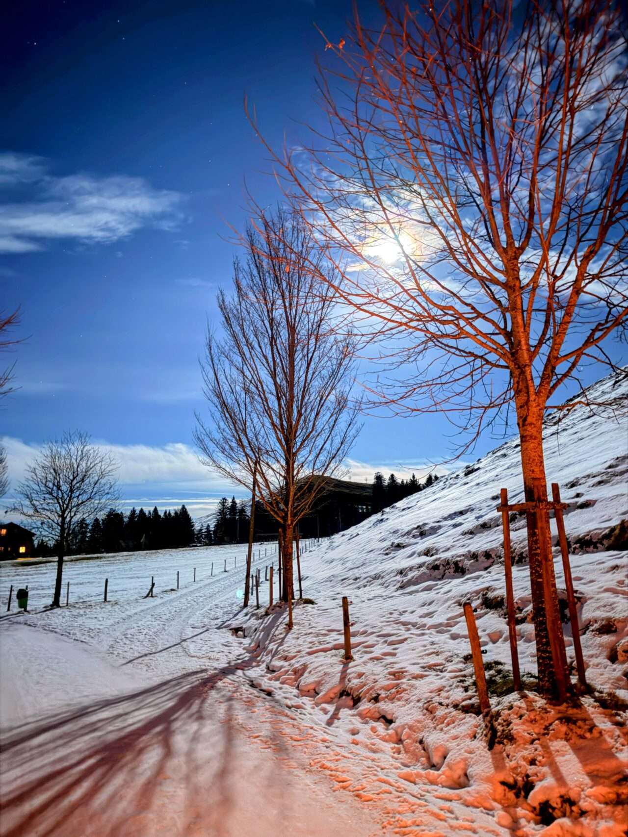 vollmond_fackel_sonnenuntergangswanderung_seebodenalp_räbalp_