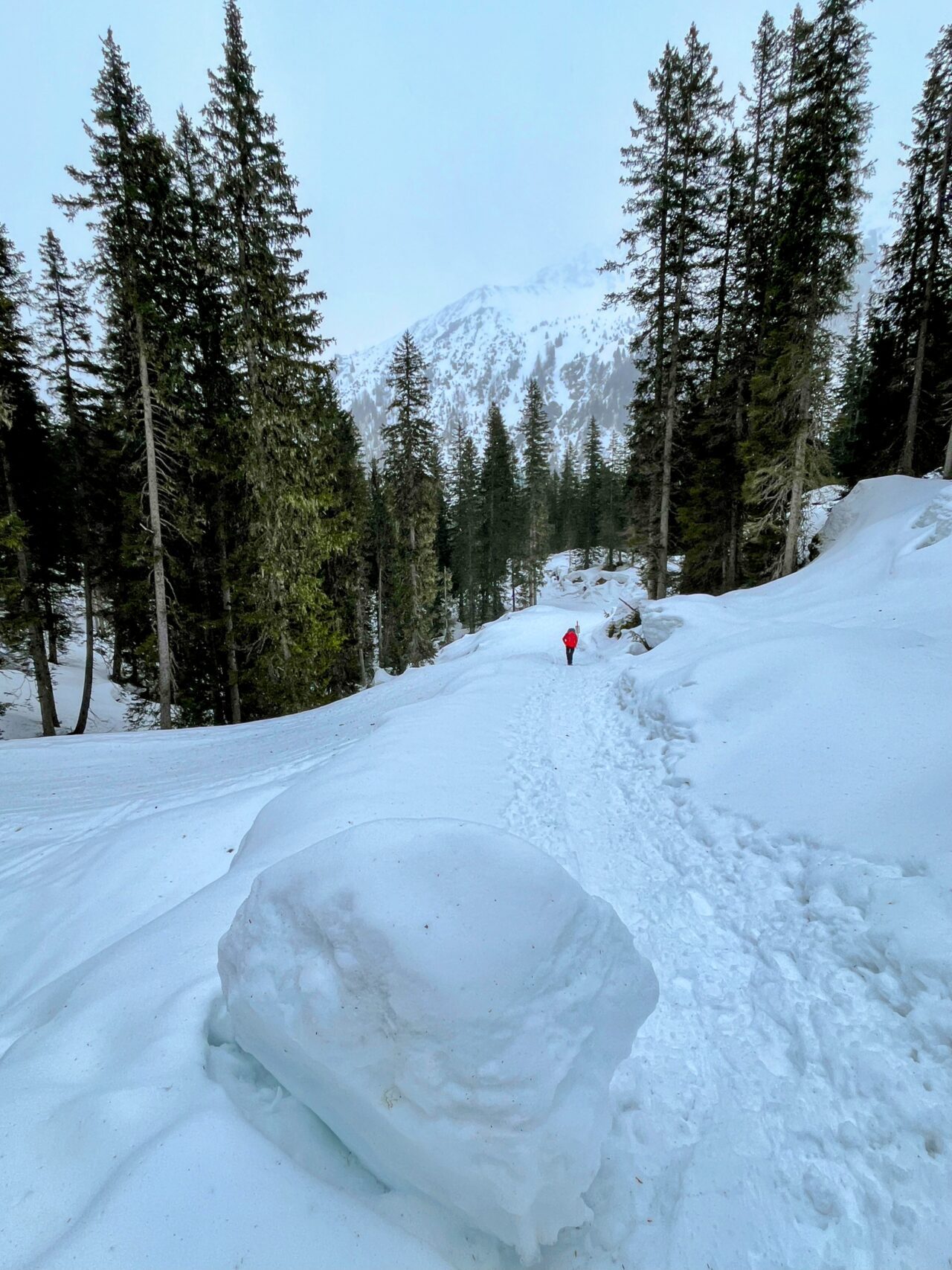 winterwanderung_und_schlitteln_lindauer_huette__IMG_4458