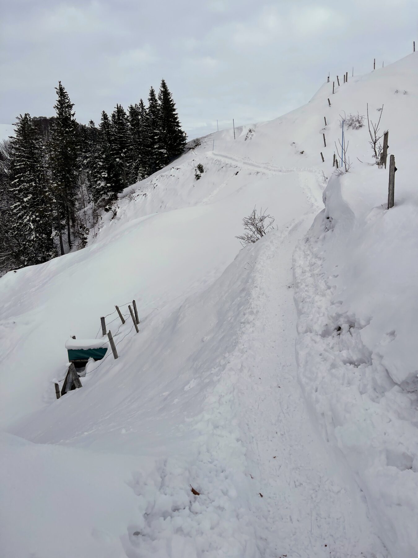 schneeschuhwanderung_atzmaennig_chruezegg_