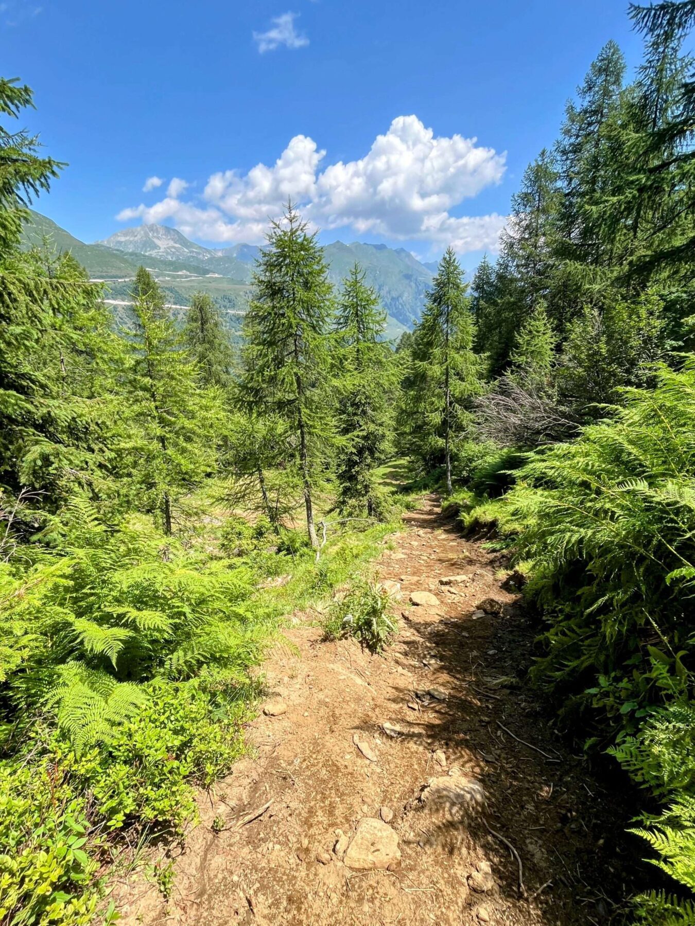 wanderung_alpenpässeweg_airolo_allacqua_