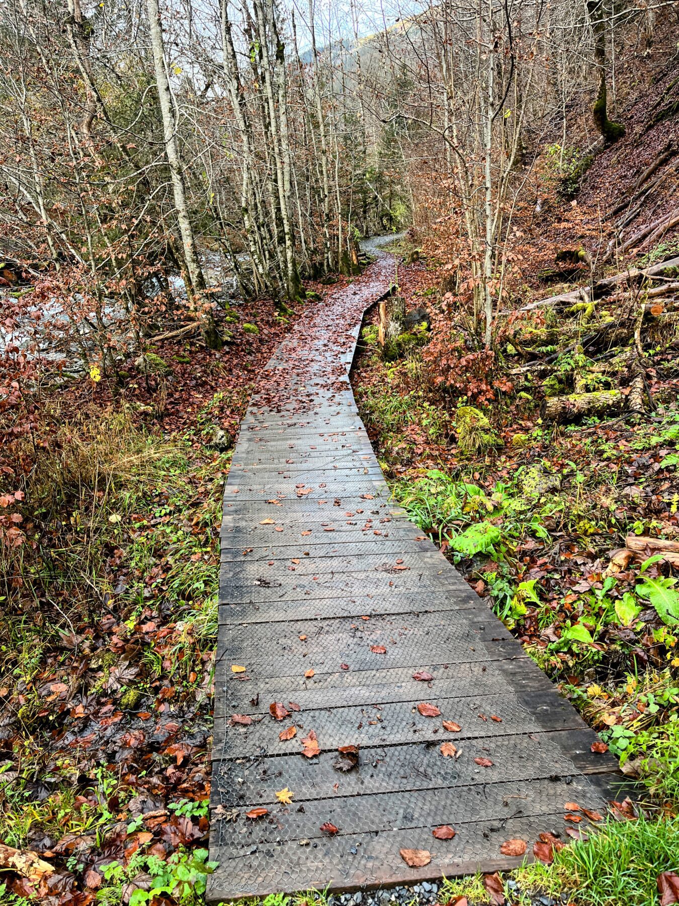 via_alpina_etappe_3_weisstannen_elm_