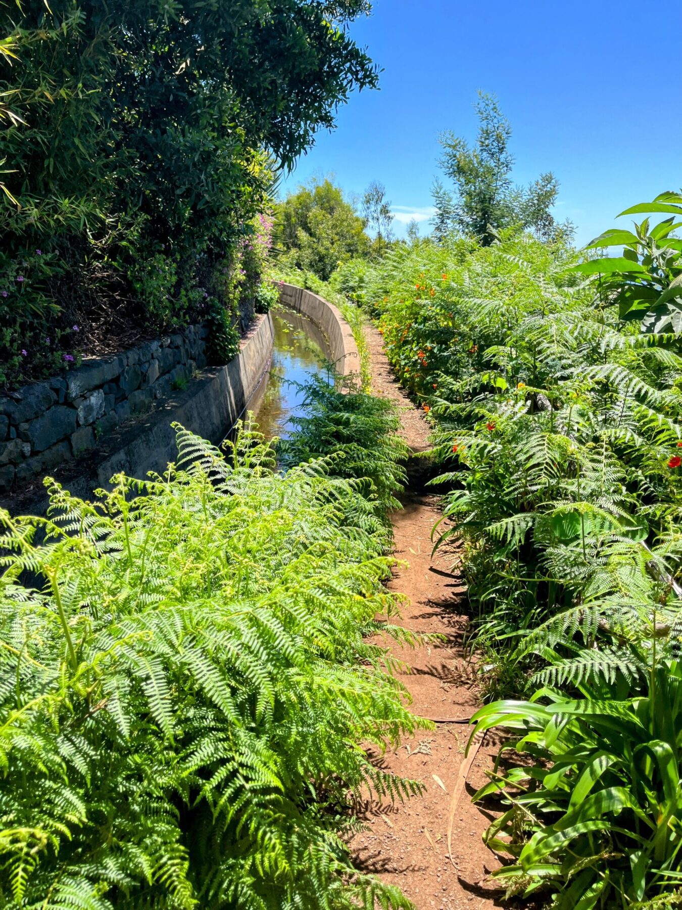 wanderung_monte_botanischer_garten_funchal_