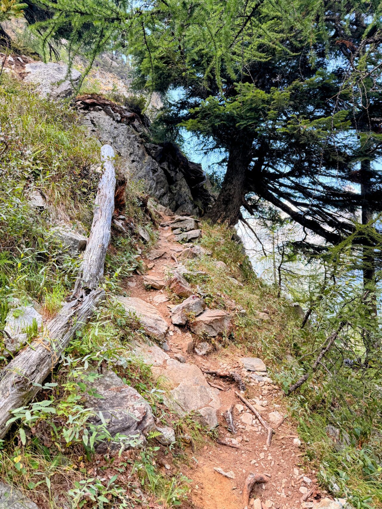 wanderung_sentiero_alpino_bregaglia_sciorahuette_sasc_furae_huette__IMG_0506