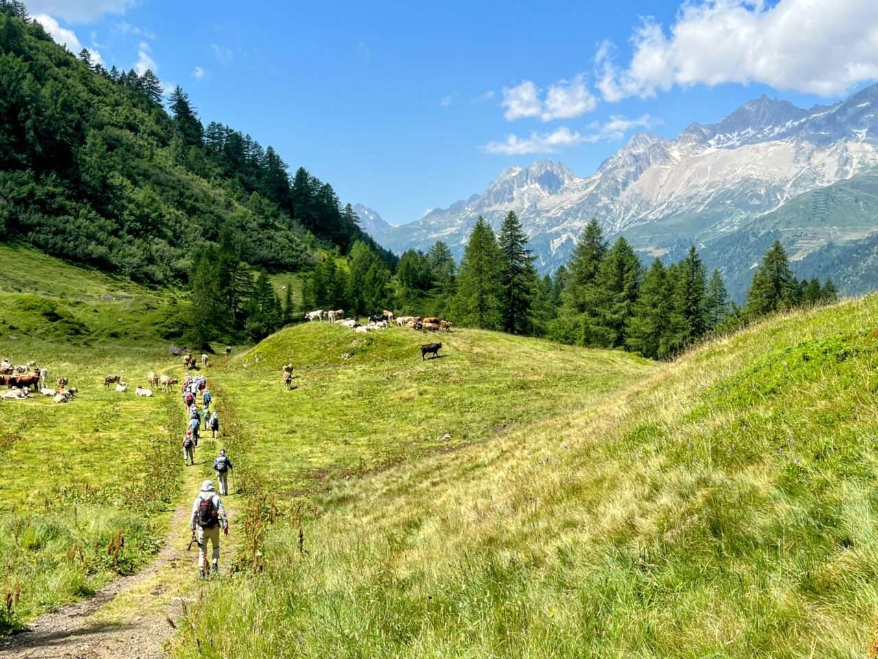 wanderung_alpenpässeweg_airolo_allacqua_