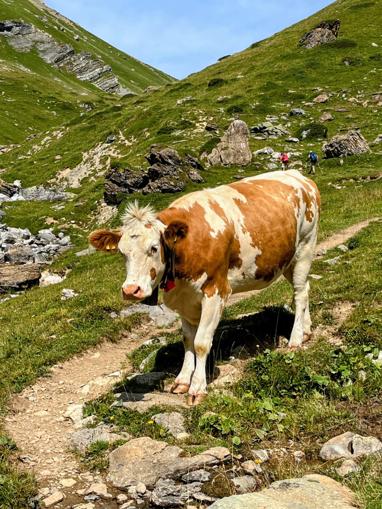 wanderung_parc_ela_trek_tag_1_julierpass_alp_flix_berghaus_piz_platta_