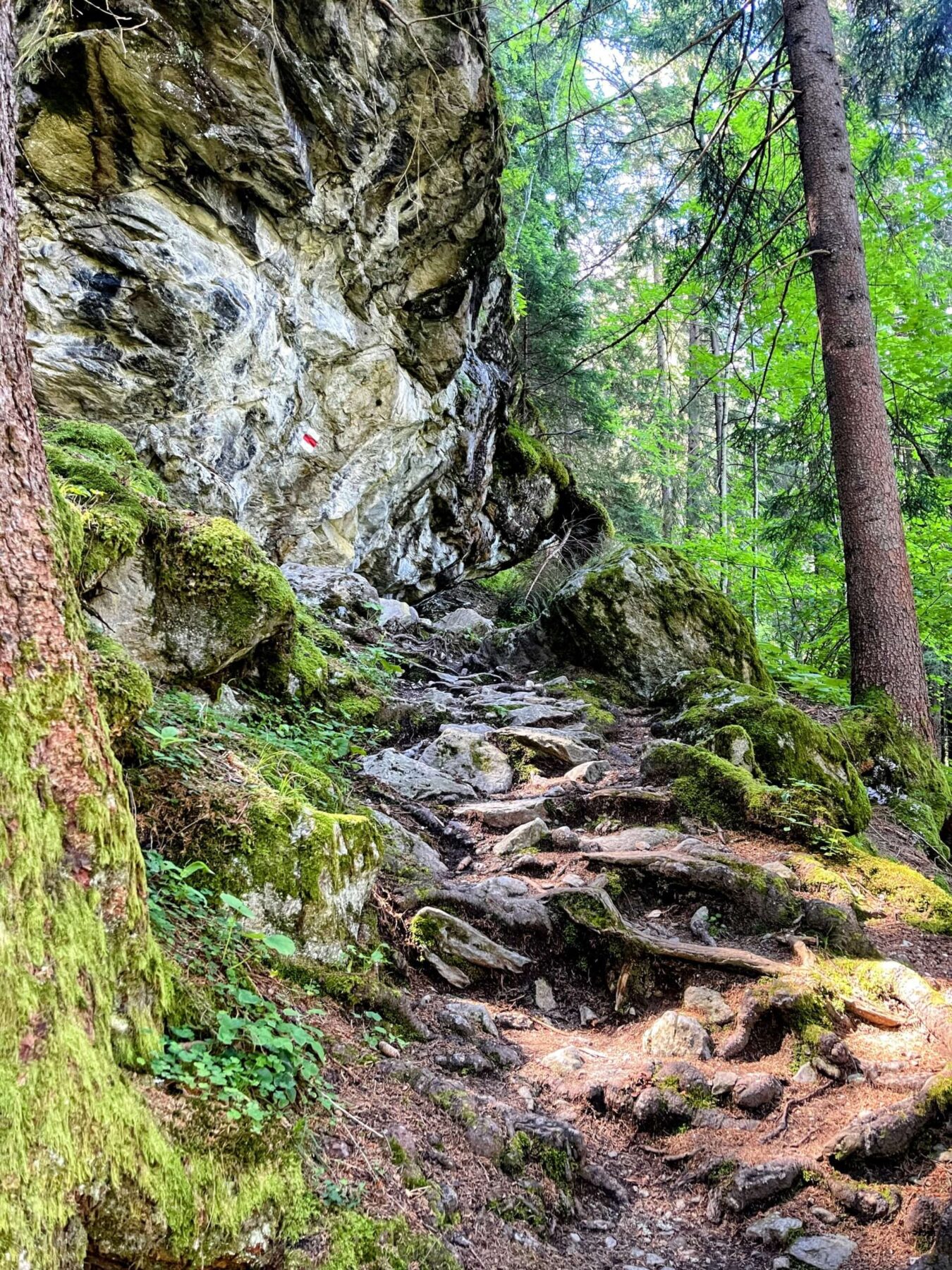 Wanderung_grindelwald_schreckhornhütte_