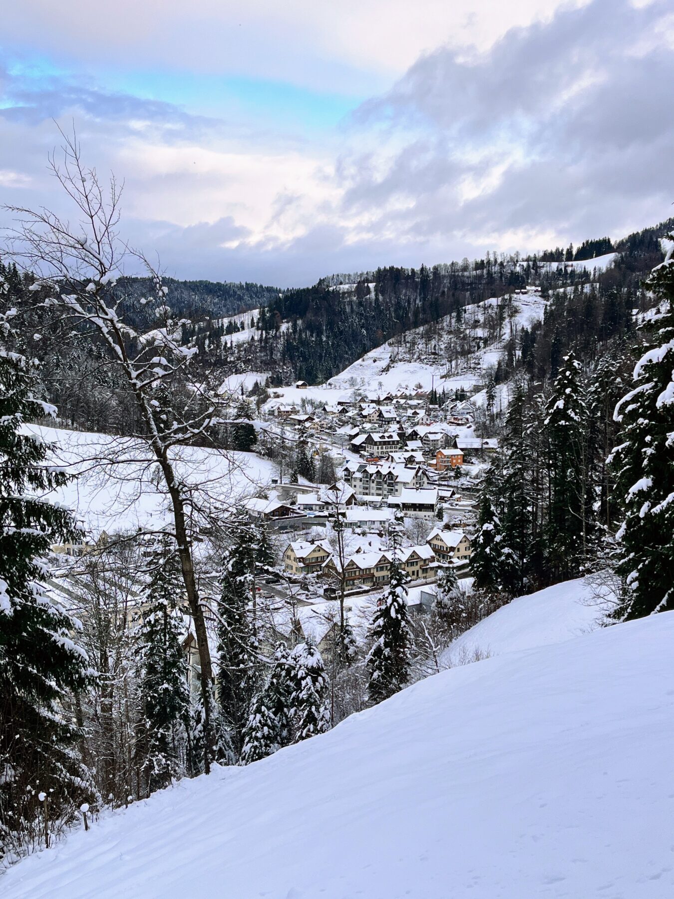 schneeschuhwanderung_schnebelhorn__IMG_2440