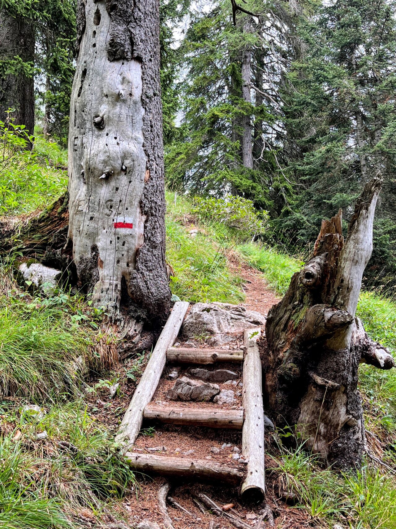 wanderung-croz-dell-altissimo-