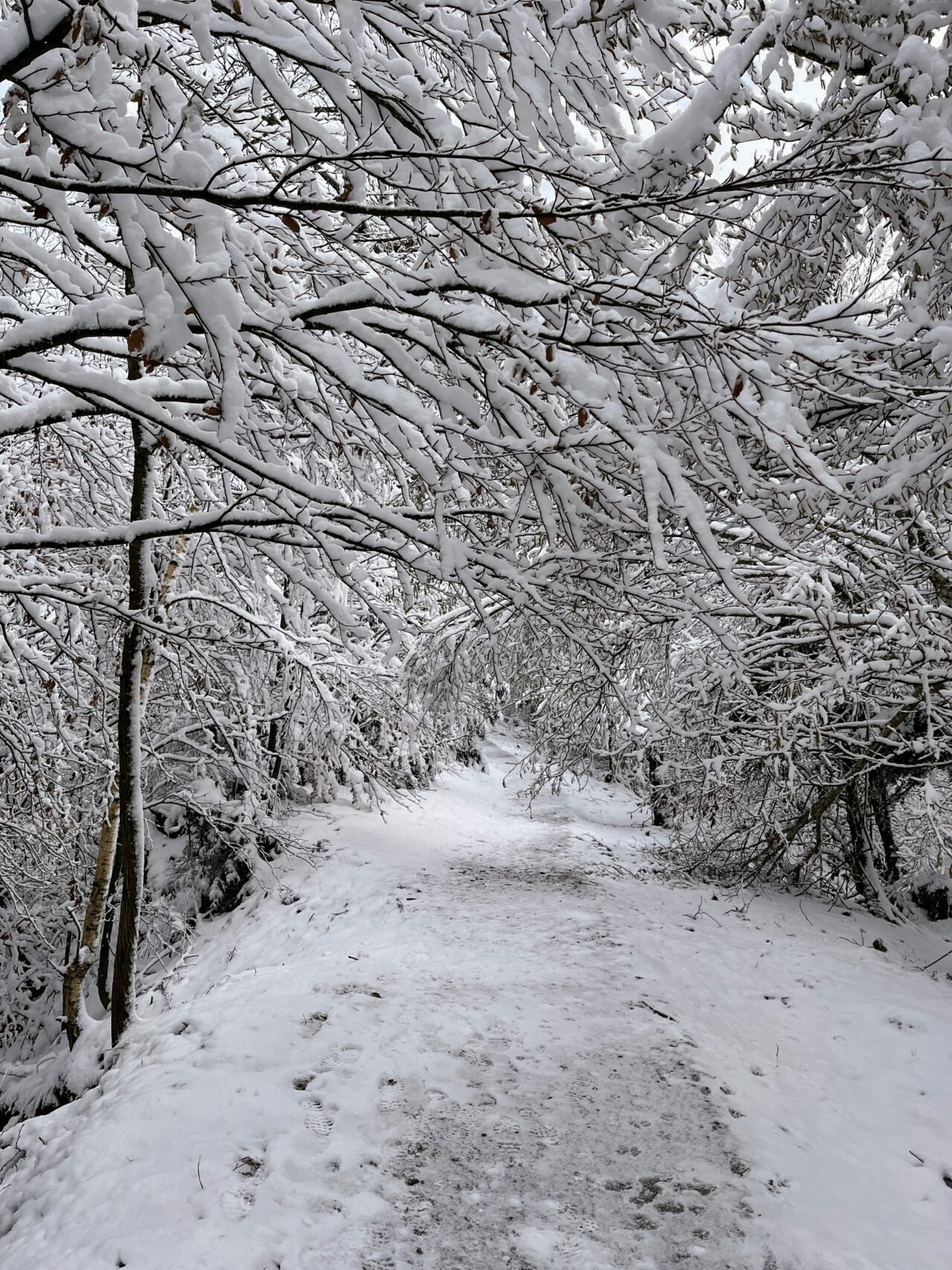 wanderung_albishorn_