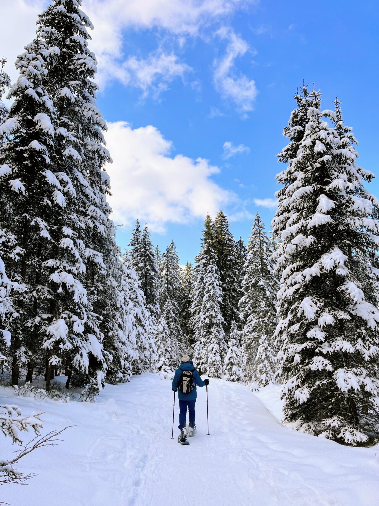 schneeschuhwandern-jaenzi-_IMG_9582