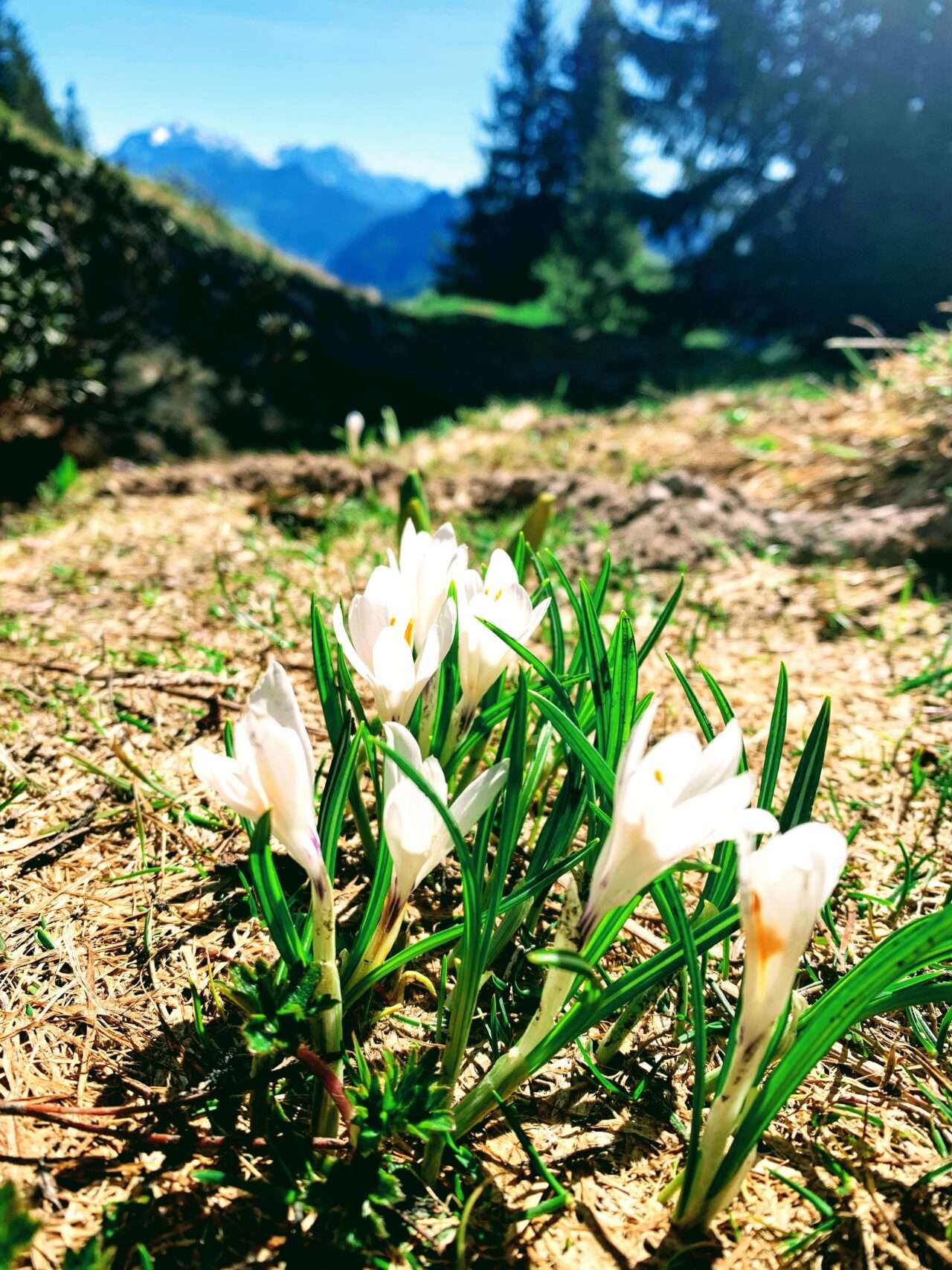 wanderung_speer_