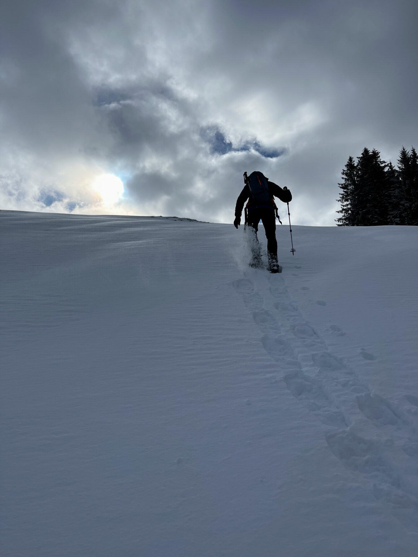 schneeschuhwandern_tanzboden__IMG_1865(1)