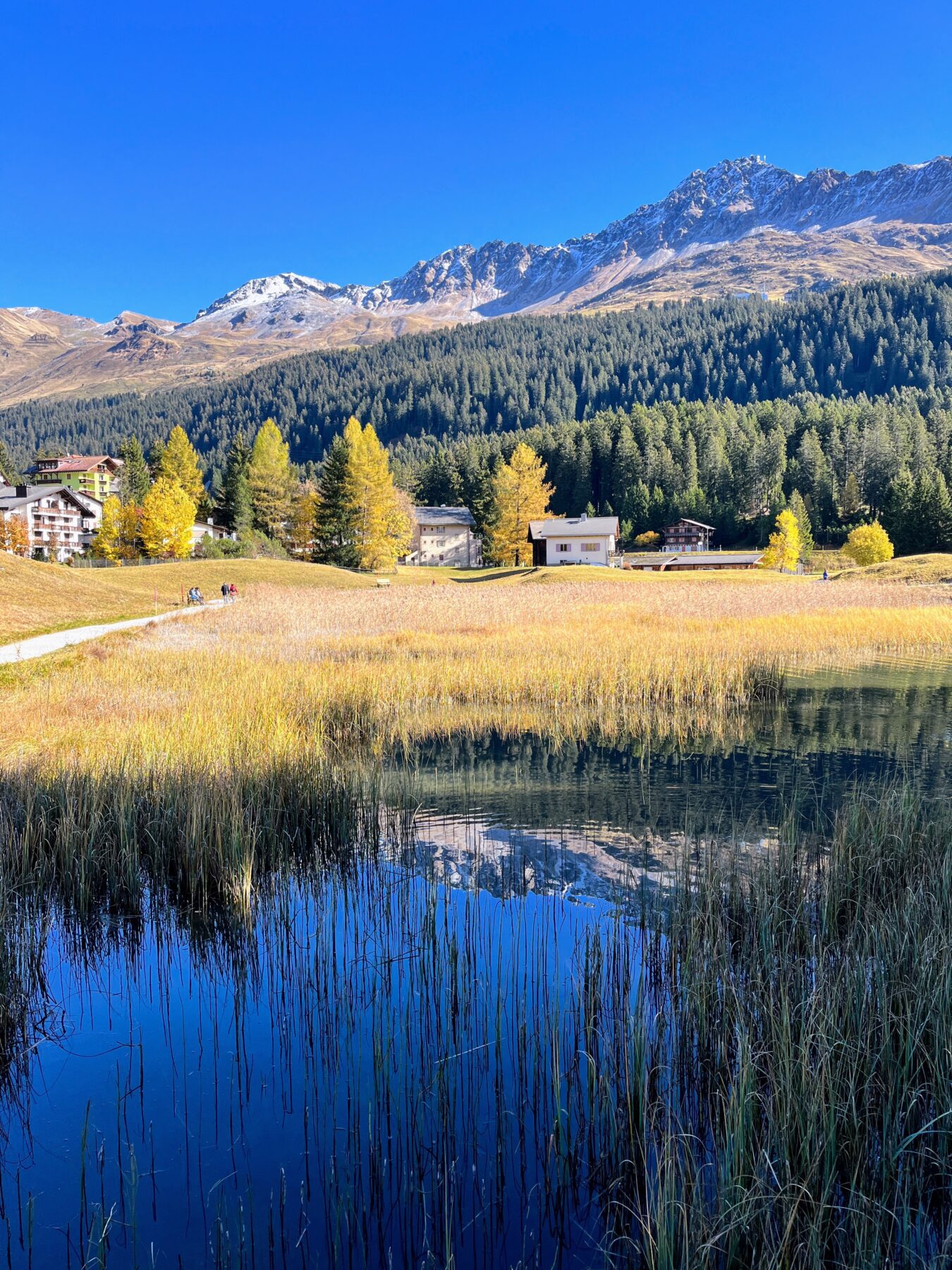wanderung-via-sett-lenzerheide-churwalden-