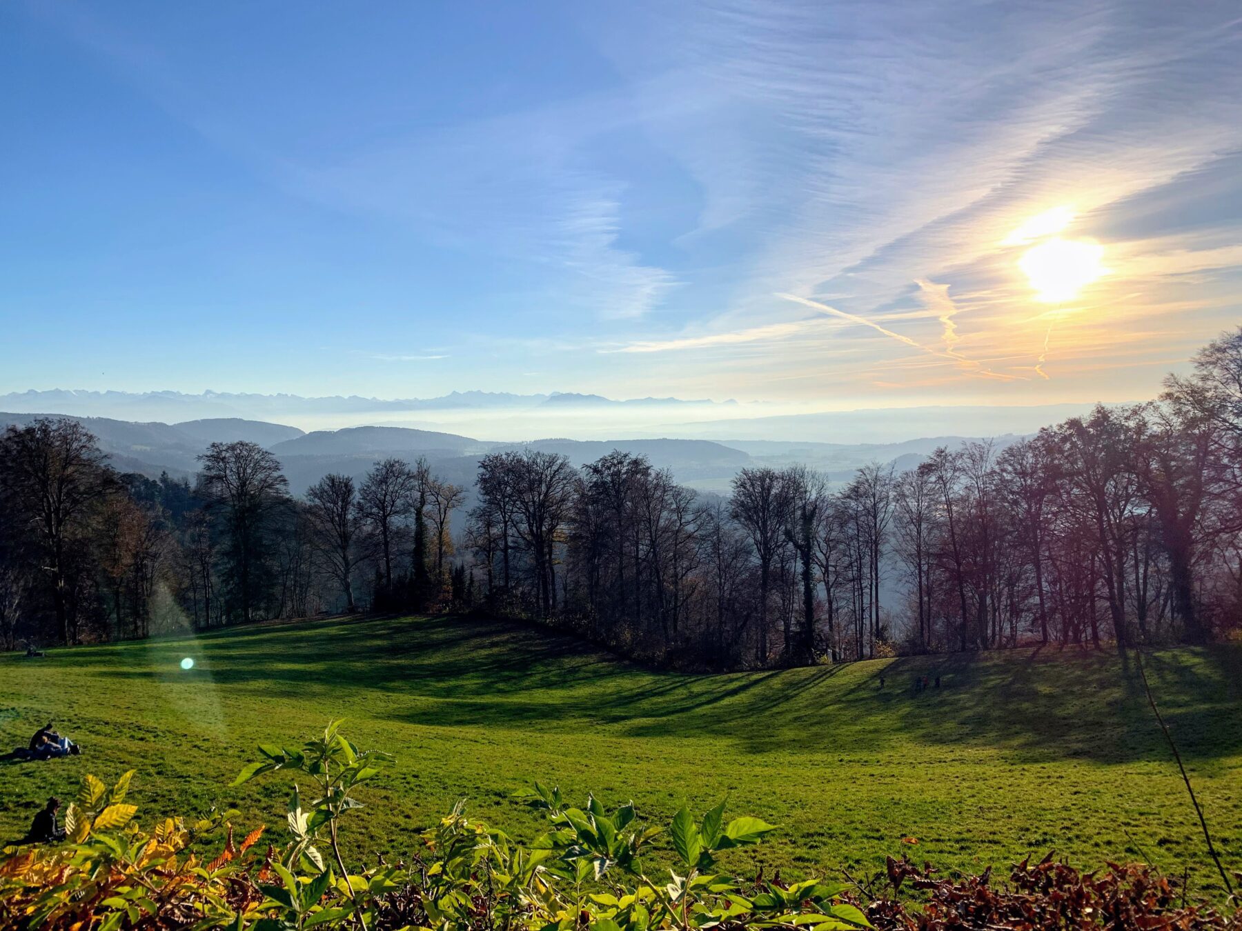wanderung_Felsenegg_uetliberg_albisgrat_