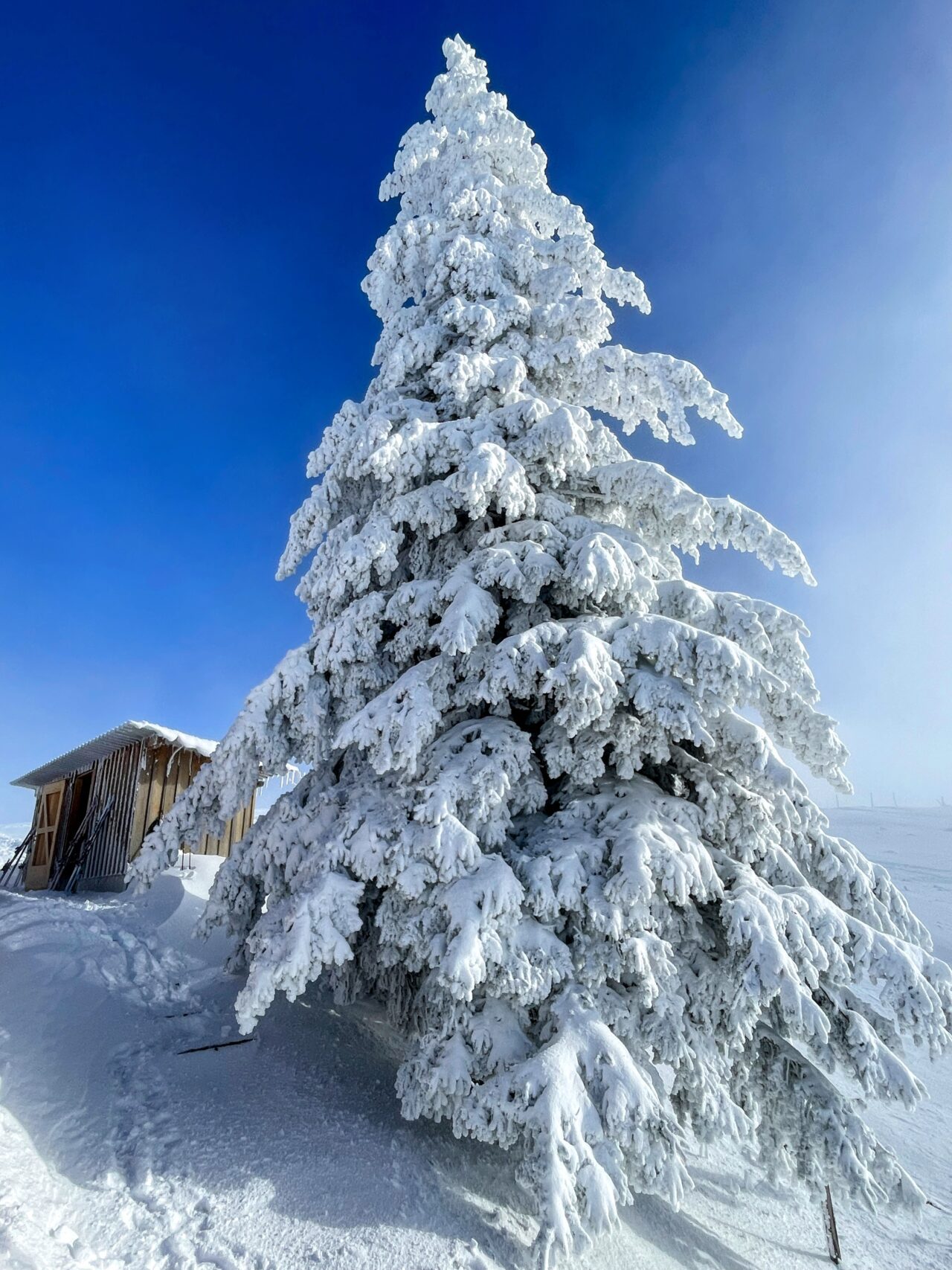 schneeschuhwanderung_rieden_tanzboden_