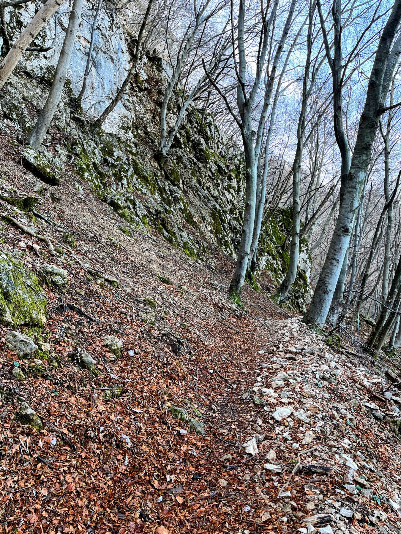 wanderung_transswiss_etappen_29_bis_32_bellinzona_mendrisio_