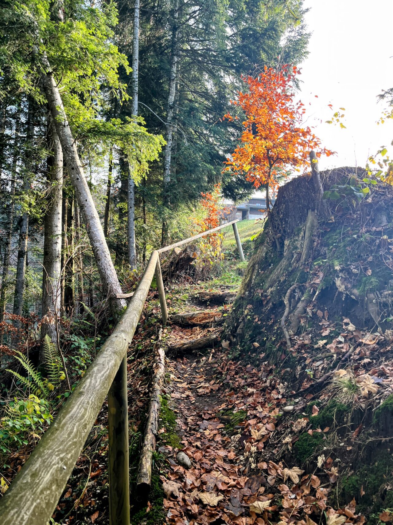 trans-swiss-trail-etappe-12-und-13-luetzelfluh-langnau-eggiswil-