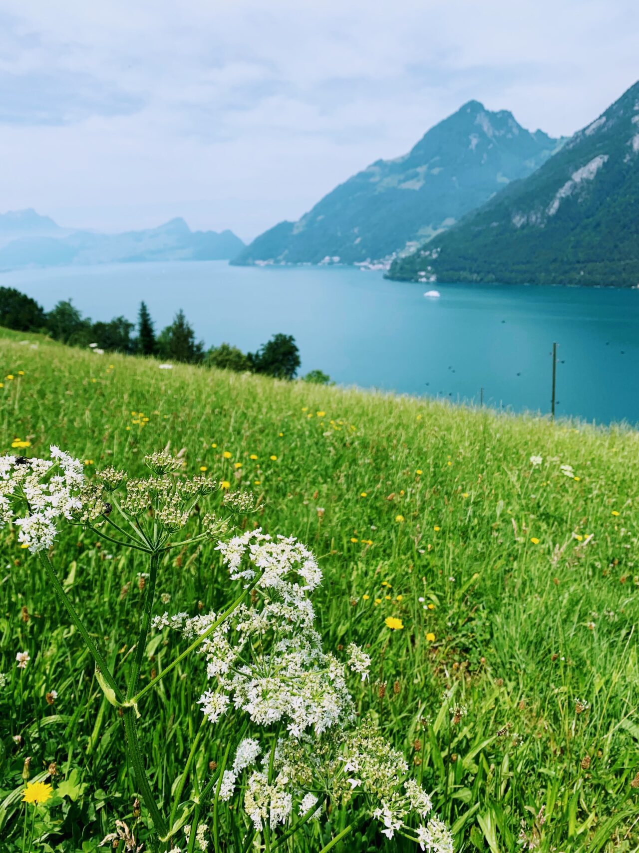 wanderung_trans_swiss_trail_beckenried_ruetli_